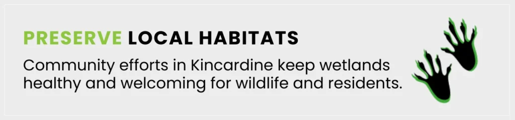 Efforts to preserve Kincardine’s wetland habitats ensure a welcoming environment for wildlife and residents in Ontario.